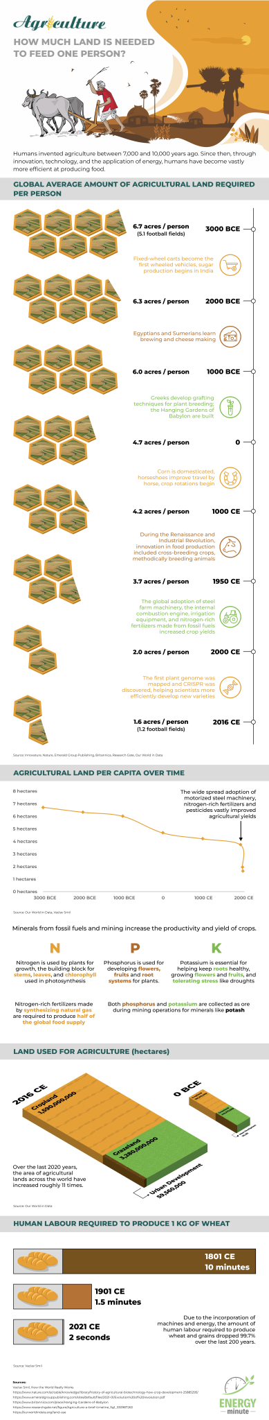 agriculture-how-much-land-is-needed-to-feed-one-person-energyminute