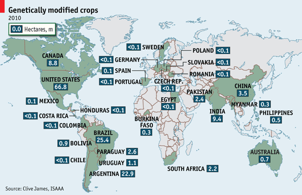 Genetically modified crops around the world, 2010