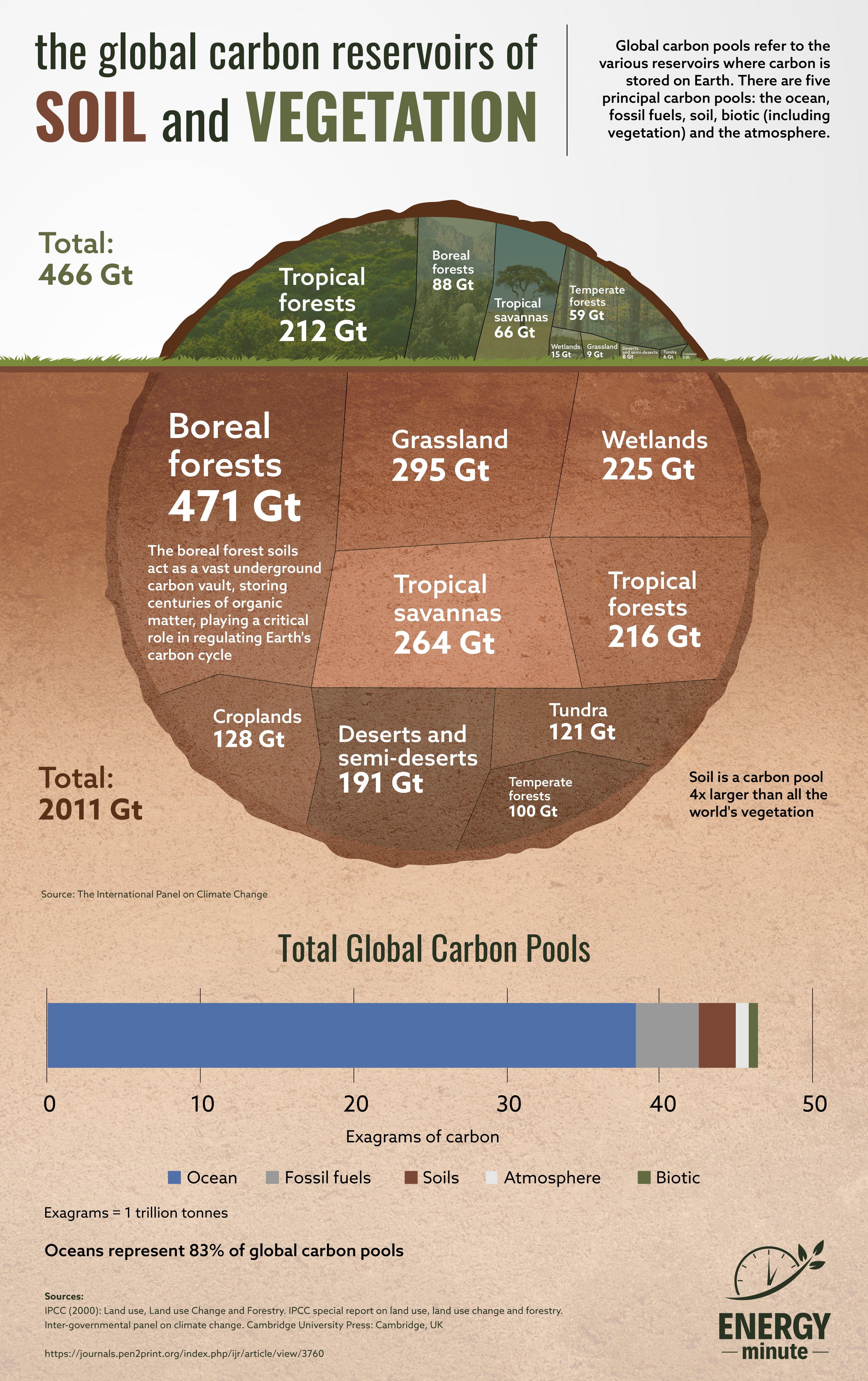 The Global Carbon Reserves of Soil and Vegetation